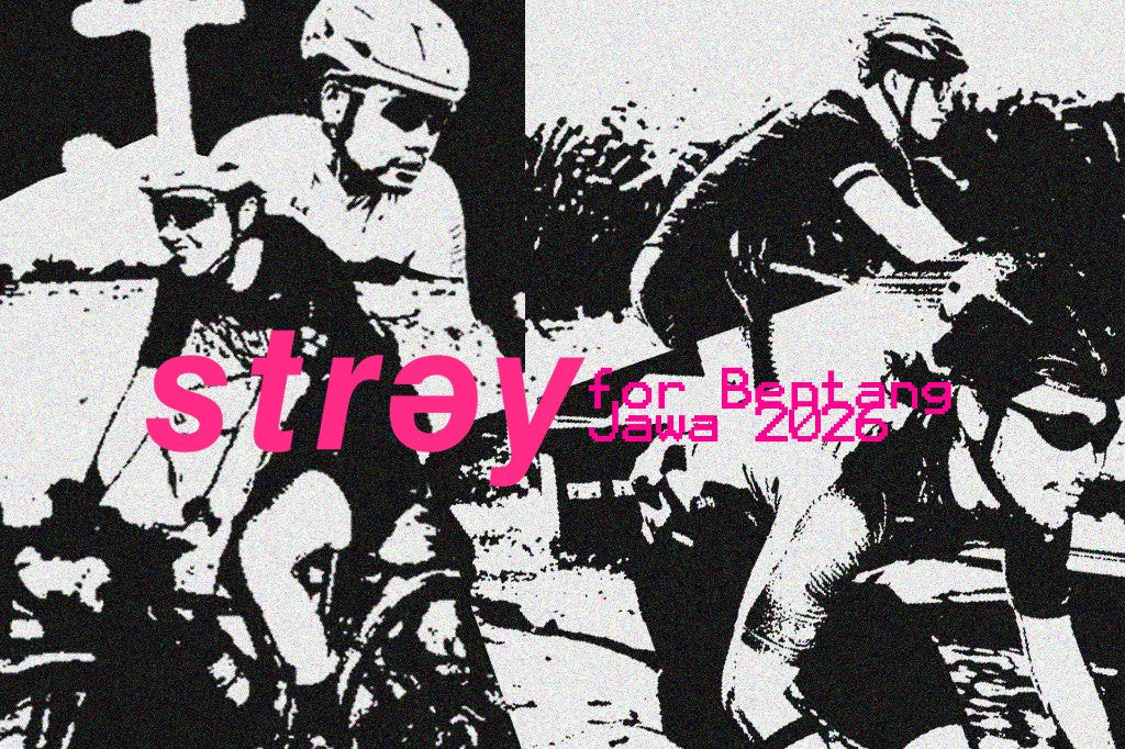 STRAY for Bentang Jawa 2026